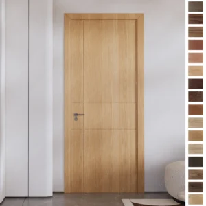 Premium Interior Door with European style design.